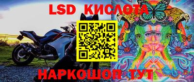 эйфоретик Бугуруслан